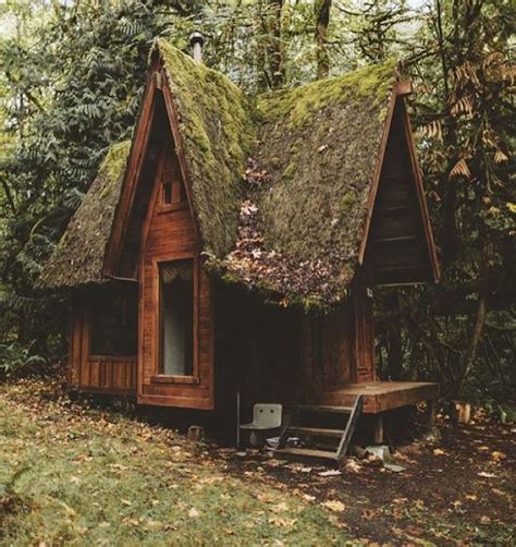 Experiencing Nature's Magic: The Beauty of a Cottage in the Woods